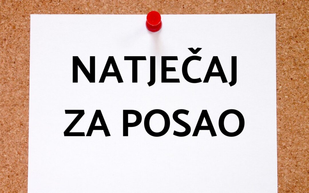 Prijam u radni odnos